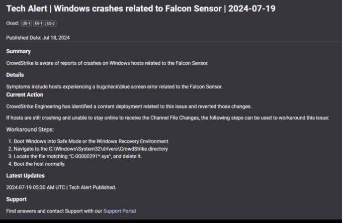 a screenshot displaying details about the Falcon Sensor malfunction on July 19.