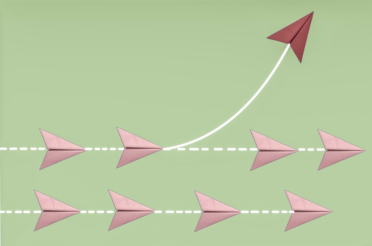 venture capital, VCs, triage, startups