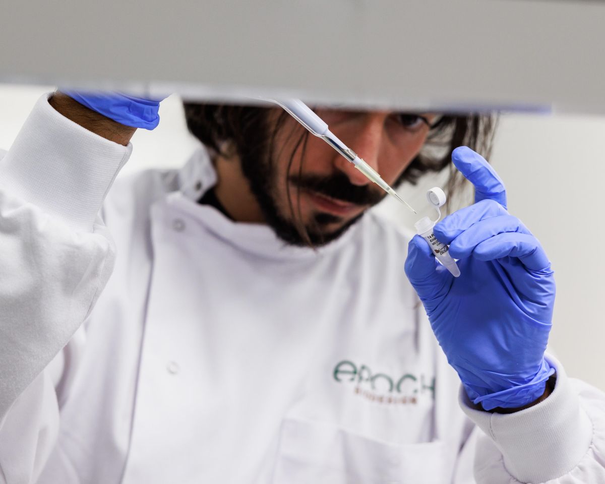 A man pipettes a liquid into a small tube.
