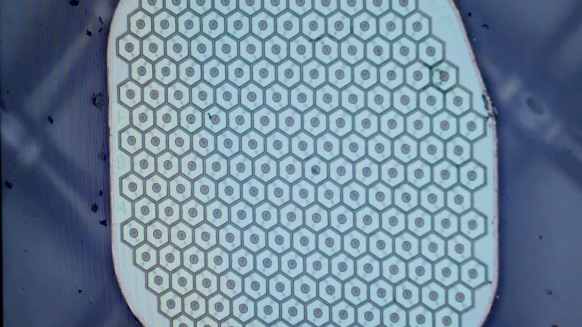 Max Hodak’s Science Corp. is preparing to place its first sensor in a human brain